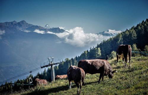 Appartamento Pila Bellevue - Foto 30