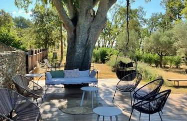 le mas du cypres, 12 pers et piscine - Foto 10