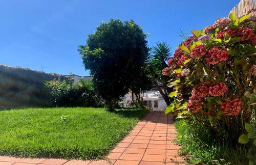 Árbol Blaanco - Foto 39