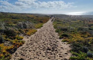 Gecko Pego Longo - Foto 63