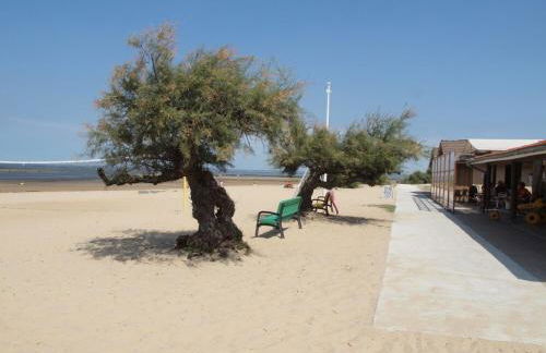 Villa Joli Bois - Foto 8