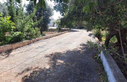 Casa Trullo Bianco: Casa Vicino - Foto 17