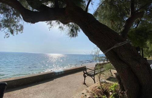 Apartments Silba - Foto 10