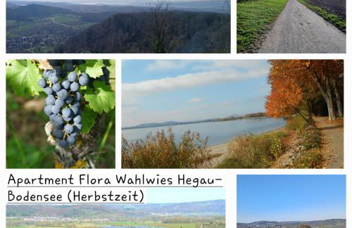 Apartment Flora - Foto 30