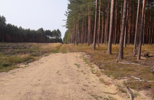 Ośrodek Wypoczynkowy Jaszczurka - Foto 49