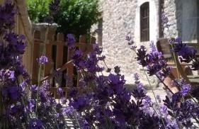 La Morada de Vadinia - Foto 29