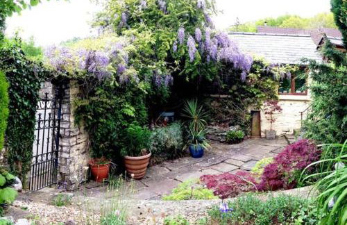 The Little Acorn - Photo 3