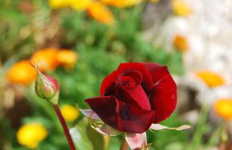 Rustic Holiday Home Miketa - Foto 78