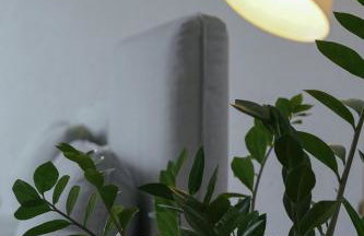 No 19 in the Black Forest - Foto 21