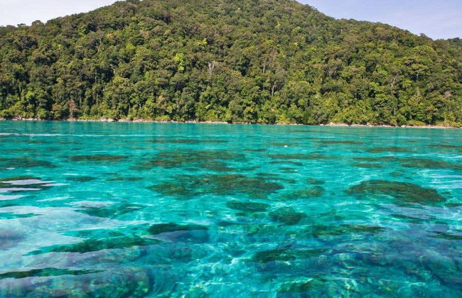 Excursión a las islas Surin en lancha rápida - Foto 3