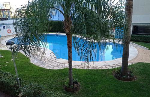 Palmeras III Solo Familias Serviplaya!!! - Foto 37