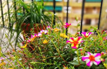 Casa Princesa Huelin - Photo 44