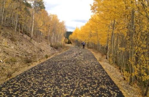 Leadville's Copper Top Getaway - Foto 27