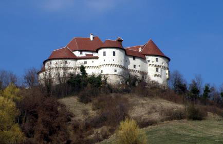 Villa Arboreta - Foto 36