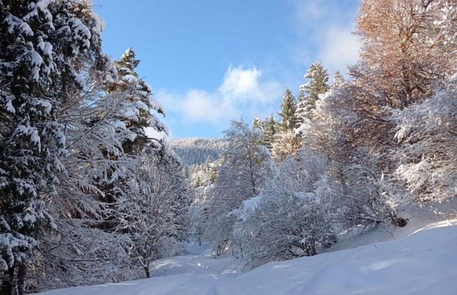 Holiday Home Near Wolfsklamm River - Photo 22