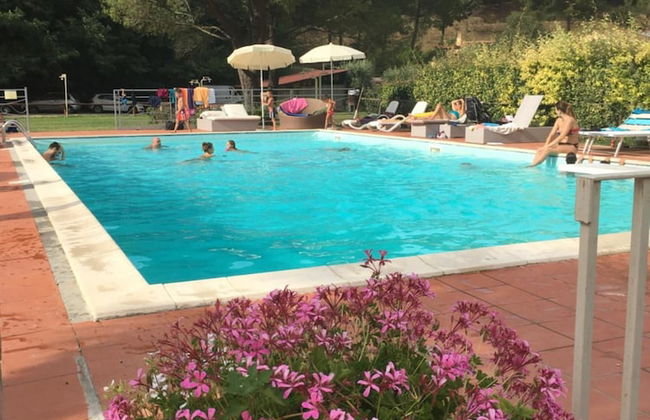 Agriturismo Podere Bucine Basso - Foto 41