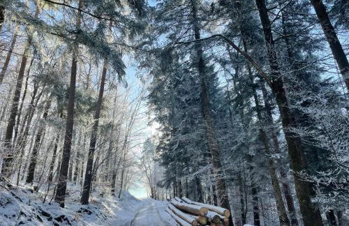 Gîte marguerite - Foto 24