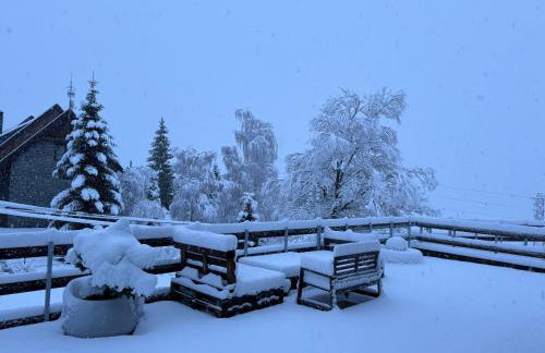 Luxury Housing in Formigal - Foto 21