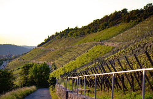 Weingut Leininger Ferienwohnungen - Foto 3