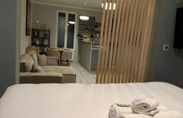 Appartement douillet Alfortville proche métro et RER - Foto 21