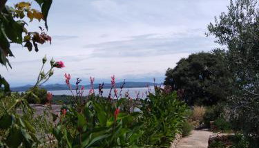 Apartment Ruza - Foto 2