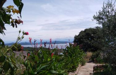 Apartment Ruza - Foto 2