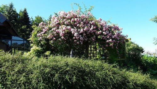 Ferienwohnung am Hufegraben - Foto 4