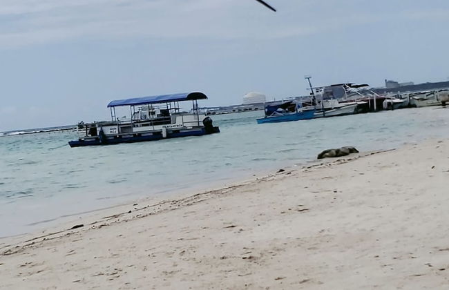 Hotel boca del mar Bocachica playa - Foto 53