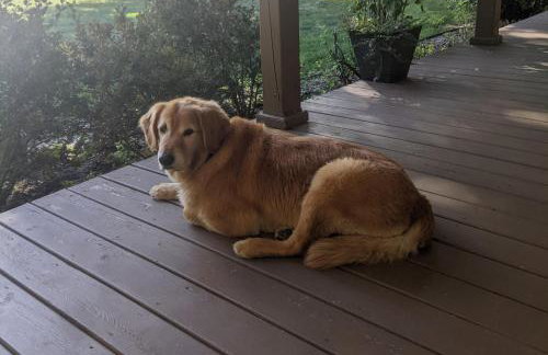 Old Swiss Inn - Foto 35