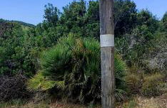 La Pedrera Font Nova - Photo 24