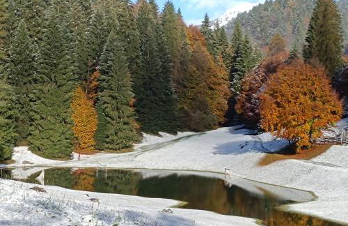 Famiglia Brochetti - Foto 19