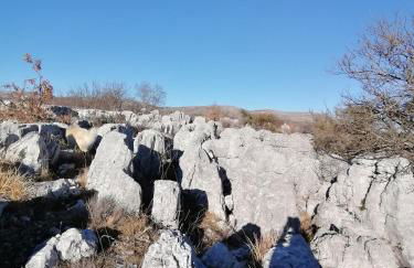 Studio au milieu d une oliveraie Le Mas de la huppe - Foto 18