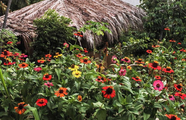 Sol de minca - Photo 59