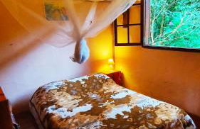 Casa das Araucárias - Sítio Salamandra, Vale do Matutu - Foto 8