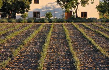 Cortijo de la Seda - Foto 11