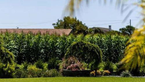 Celeiro do Carvalho - Foto 5, Garden