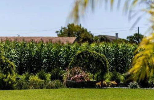 Celeiro do Carvalho - Foto 5