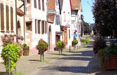 Le Nid Douillet de Bergheim - Foto 10