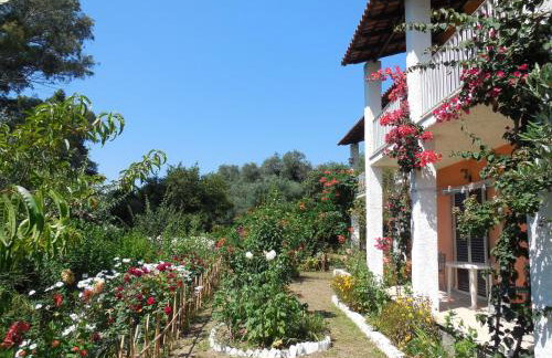 Petros Studios - Foto 18