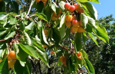 Casa vacanza zia Ersilia - Foto 28