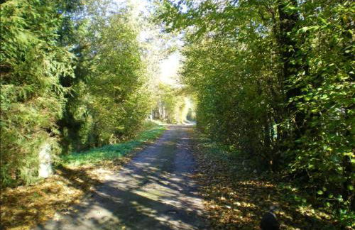 Appartement charmant à Plancher-les-Mines 40 m² avec jardin - Foto 22
