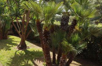 Villa con Giardino di 2000mq al Plemmirio - 400m dal Mare - Foto 63