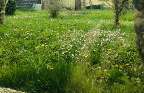 Ferienwohnung Feldmann - Foto 2