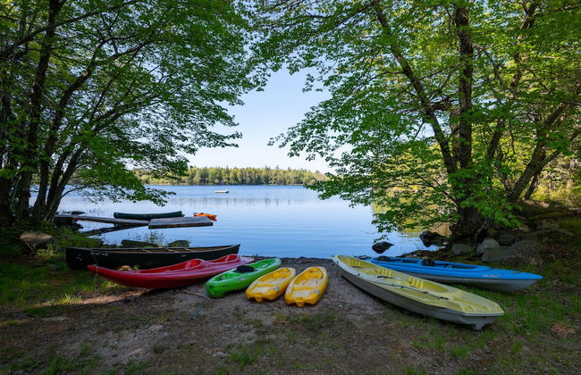 Mersey River Chalets a nature retreat - Foto 39