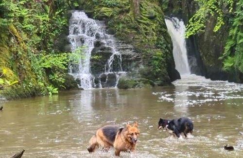 Rural, Secure Garden, Woodland Walks, 23 min to beach - Foto 29