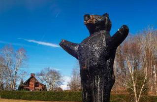 LUXURY!! Hot Tub, Pool Table, River & Petting zoo? - Foto 46