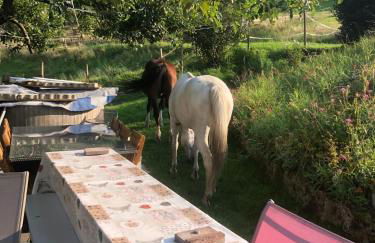 Maison pittoresque à Sainte-Croix-aux-Mines, vue sur la montagne - Foto 55