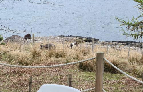 The bay ,luxury shepherds hut, - Foto 37