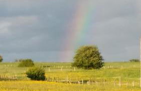 Ferienhaus Eifelperle - Foto 23