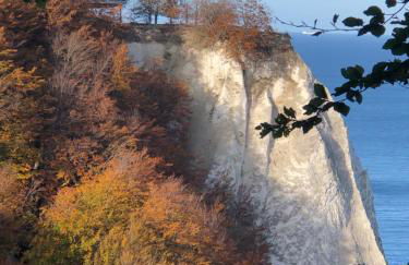 Ferienwohnung "Möwe" im Ferien-Resort Rügen - Foto 29